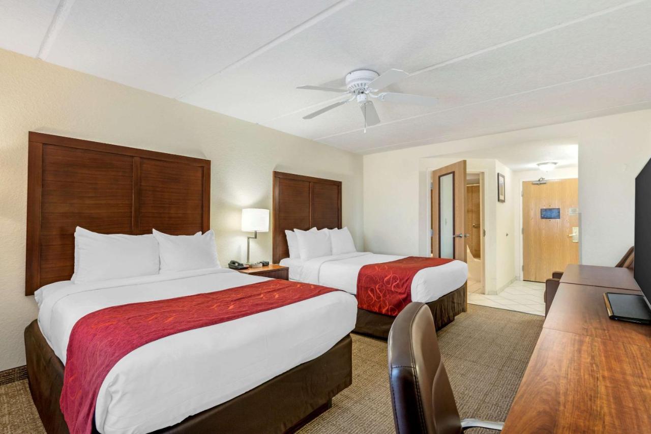 Comfort Inn Kissimmee-Lake Buena Vista South Dış mekan fotoğraf