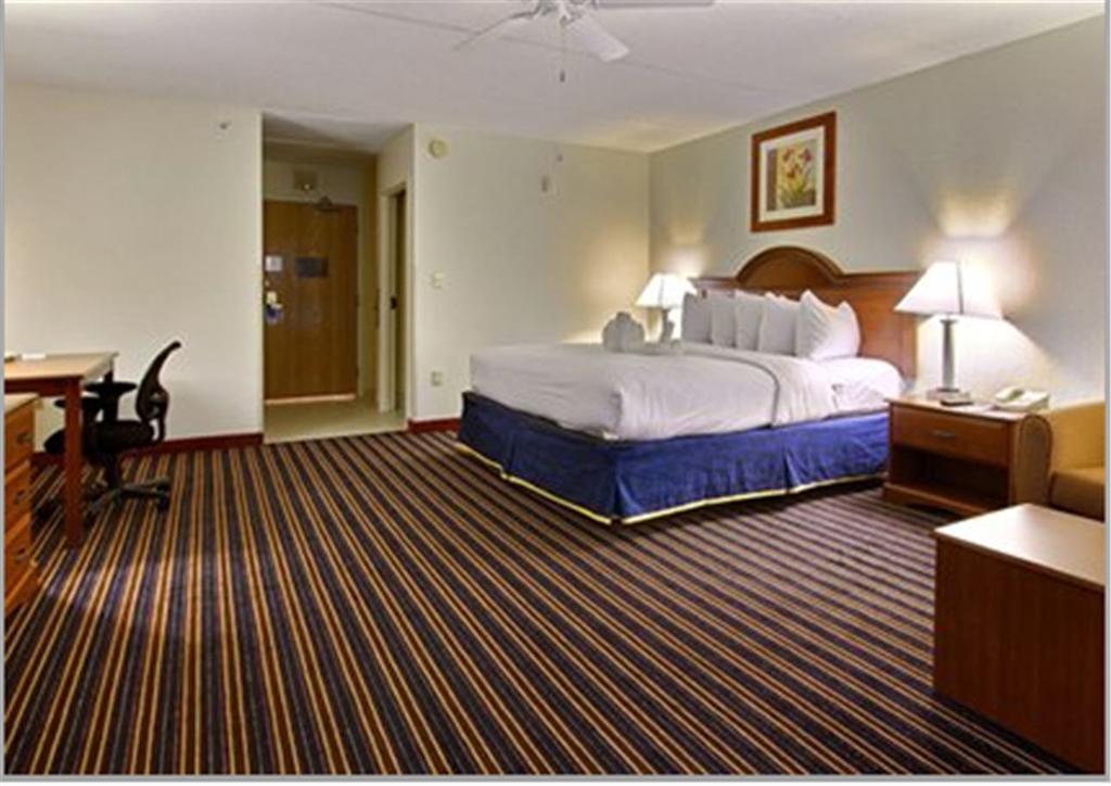 Comfort Inn Kissimmee-Lake Buena Vista South Oda fotoğraf
